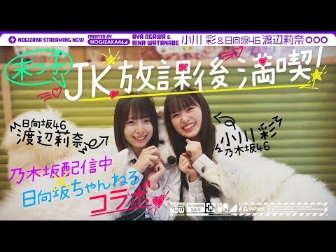 乃木坂配信中「【もっと仲良くなりたい】小川彩が日向坂46渡辺莉奈と原宿デート♪」