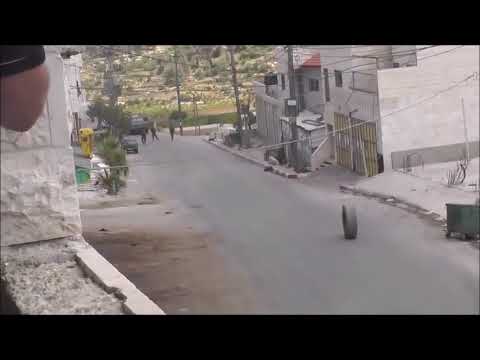 Rammus in a nutshell