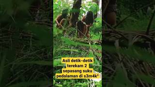 Download lagu Terekam jelas suku pedalaman mp3 Download lagu Terekam jelas suku pedalaman mp3
