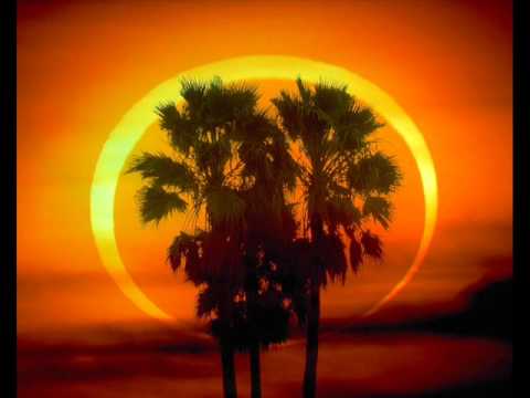 Paul Oakenfold Feat. Matt Goss-Firefly (Nat Monday Remix)