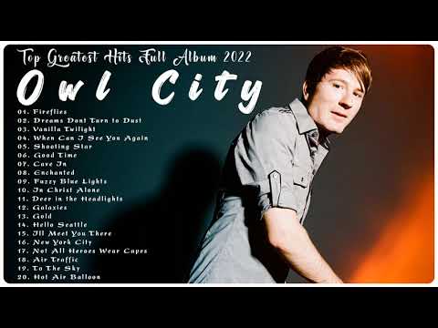 image-What was Owl City's first song?