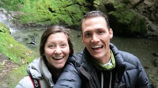 ADORABLE BABY SEALS | Ohau Waterfall | Kaikoura, New Zealand - YouTube