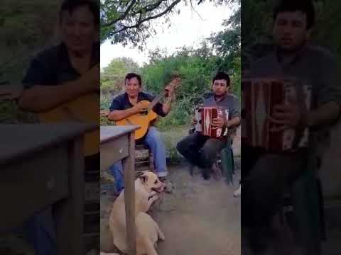 Dani Montes musiqueada en el pje 503 de fsa