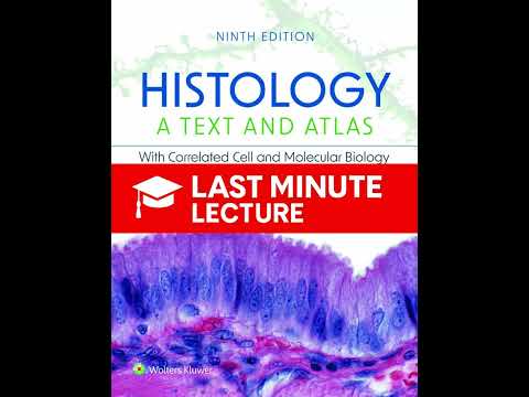 Nerve Tissue & Neural Organization | Chapter 12 – Histology: A Text and Atlas (9th)