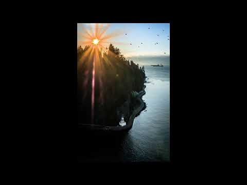 THE VINYLIST - In The Beginning