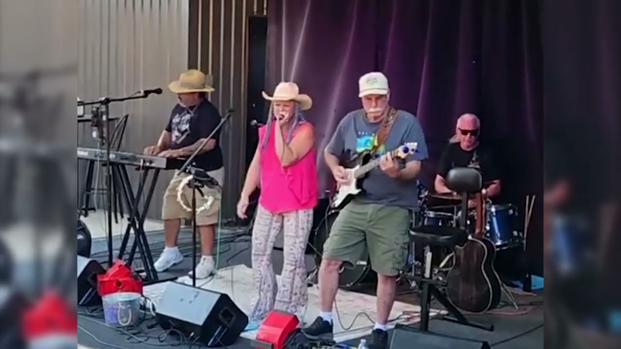 Promotional video thumbnail 1 for The Sheila Ann Band