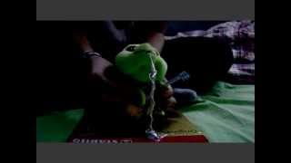 Green Day: &quot;Fell For You&quot; - [Official Video]