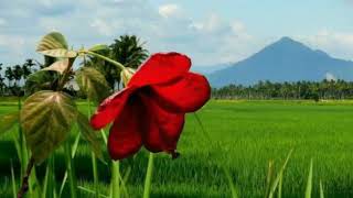 Download lagu Suling Sunda (wilujeng Enjing) selamat pagi mp3 Download lagu Suling Sunda (wilujeng Enjing) selamat pagi mp3