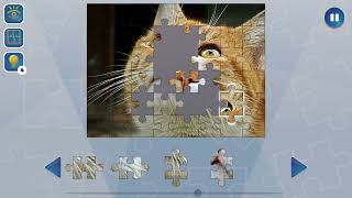 Jigsaw Puzzle Fever gameplay on Nintendo Switch.