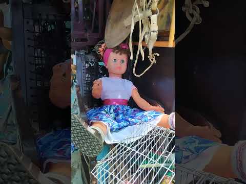 tradicional Jeep Willis desfile del Yipao Montenegro Quindío Colombia