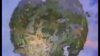 Bob Dylan - Big Yellow Taxi