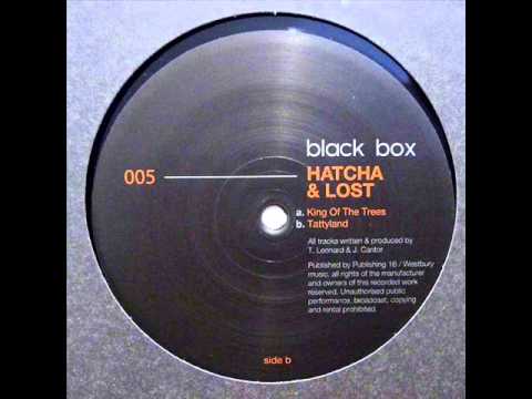 Hatcha Vs Lost - Tattyland
