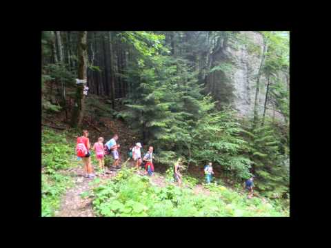 Ţapinarii  Cântec de munte