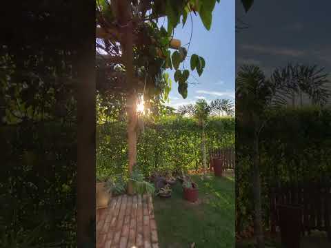 Casa de Campo condomínio fechado Estância do Bosque, Santo Antônio de Goiás, terreno 2010m²