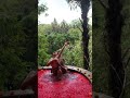 GUNUNG BERGETAR TANTE SISCA MELYANA PHOTOSHOOT Shorts