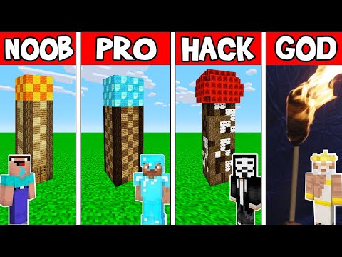 Minecraft: TORCH HOUSE BUILD CHALLENGE - NOOB vs PRO vs HACKER vs GOD in Minecraft Animation