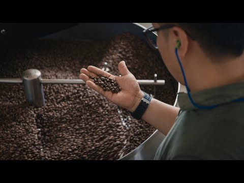 PUM in Peru - Oro Verde Foods