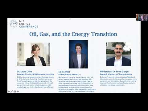 Panel - Oil, Gas, and the Energy Transition