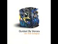 GUIDED BY VOICES - ZOO PIE