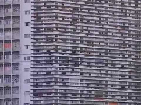 ArsLife - Video Summer 2008