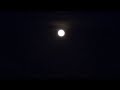 Harvest Moon - Indialantic Beach Pan / Zoom