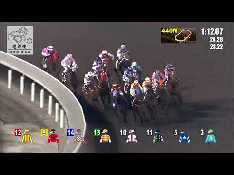 港經佬賽事重溫｜29-12-2021 沙田夜馬第四場賽事重溫 (293)｜跑得寶寶 RUN DES RUN (E179)｜馬雅 R Maia｜容天鵬 T P Yung｜免費心水及賽馬貼士
