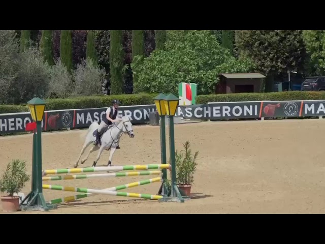 Super pony competitiva 