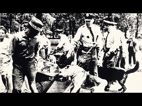 Warhol’s Radical Departures