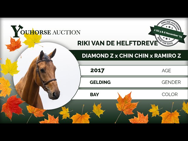 Riki van de Helftdreve