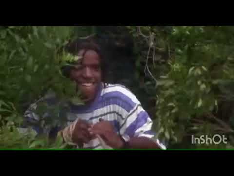 The Inkwell (1994) : Drew Set A Trap on Harold