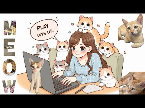 The Cat Story #adoptdontshop