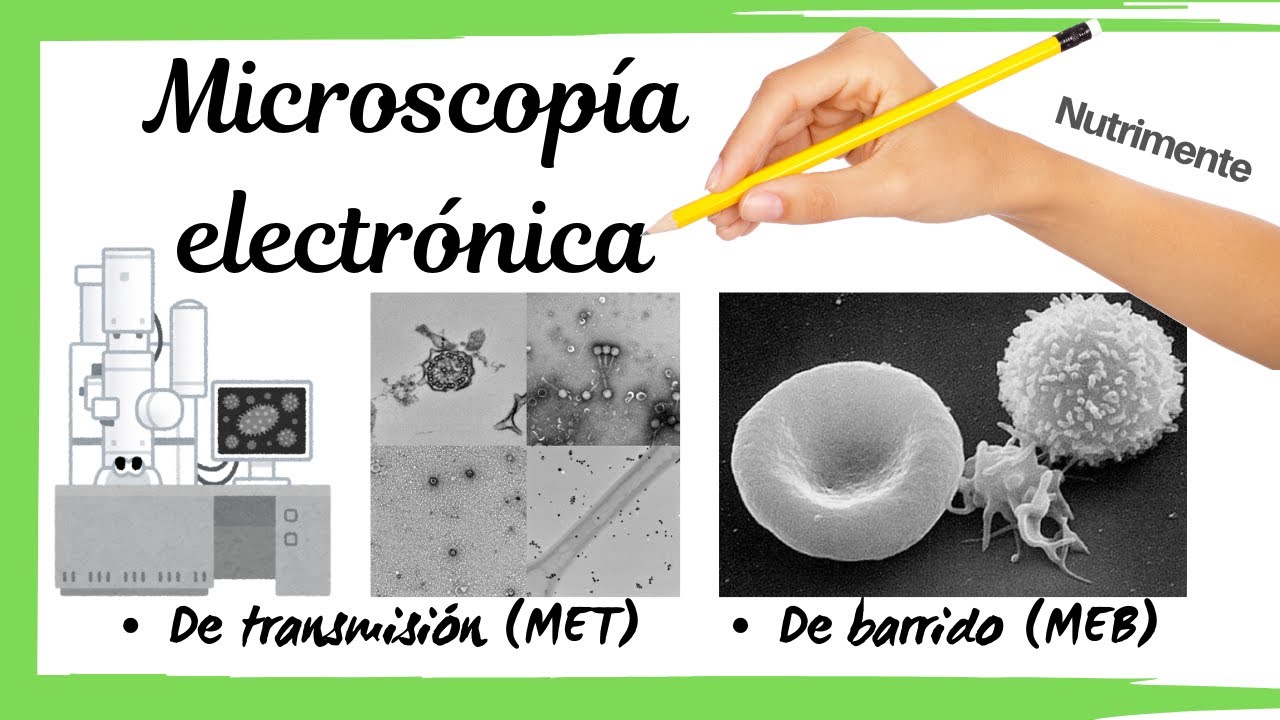 Electron Microscopy - Transmission and Scanning