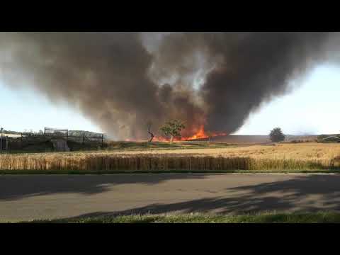 Feldbrand Kromsdorf 26.07.2019 Feuerwehr