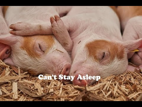 SLEEP My Top 5 Supplements CFS ME