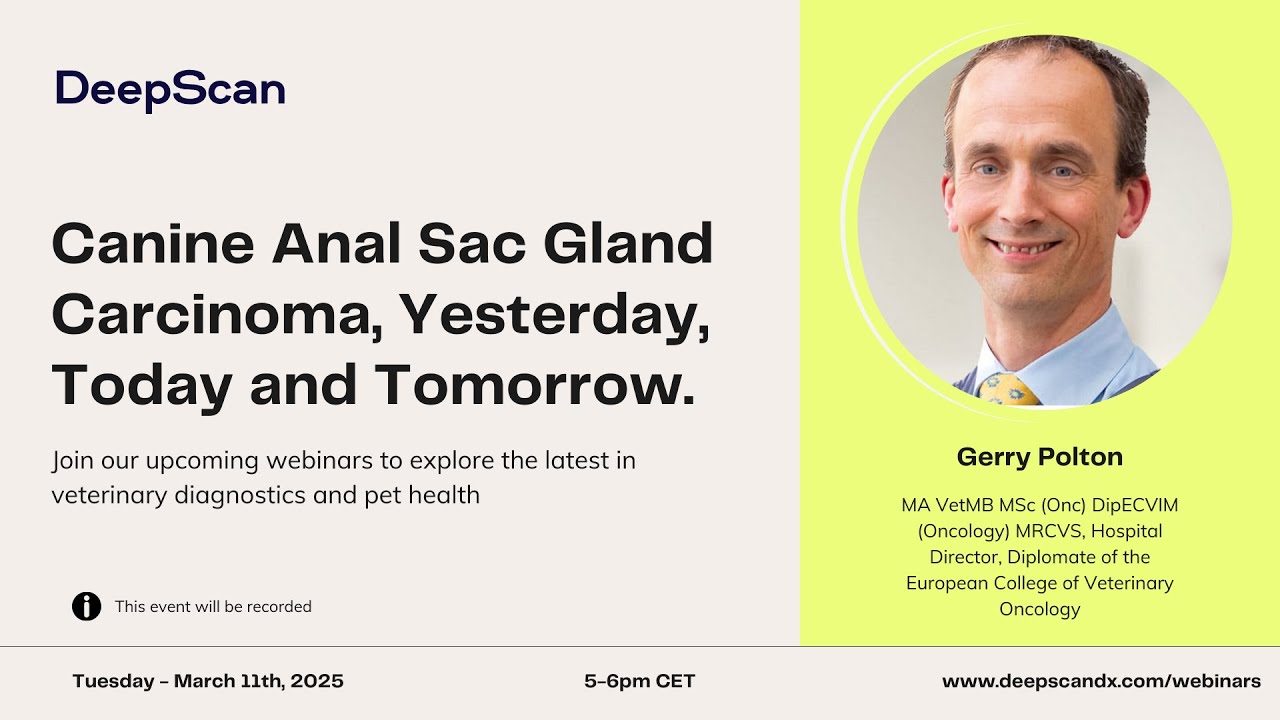 Canine Anal Sac Gland Carcinoma, Yesterday, Today and Tomorrow