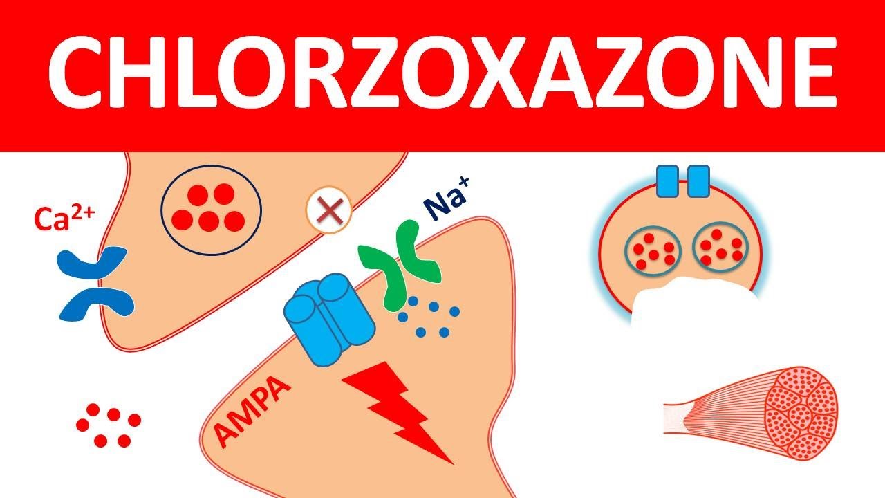 Watch video Chlorzoxazone as central muscle relaxant Now Chlorzoxazone as central muscle relaxant