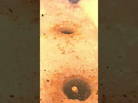 🐬 Magic Winter 🐳 #Fishing #Fish #Nature #Tackle #Winter #Boat #Hook #Bait #Fisherman