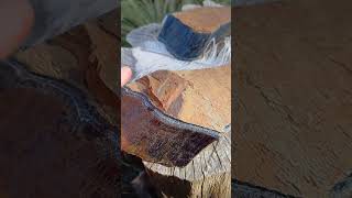 Sokolí oko 1050g