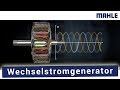 Generator von MAHLE - Aufbau und Funktion des Wechselstromgenerators