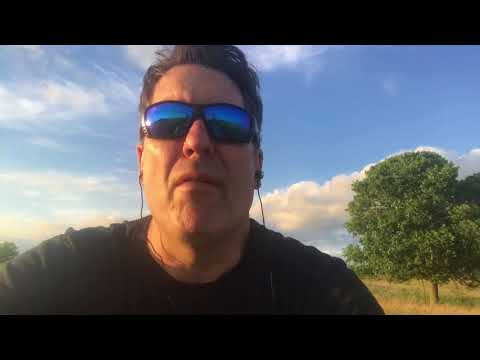 Buffalo Quest In Elwood IL