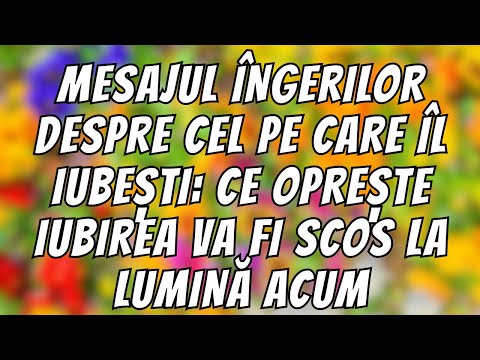 ANGELS' MESSAGE ABOUT THE ONE YOU LOVE: WHAT STOPS LOVE WILL BE REVEALED NOW