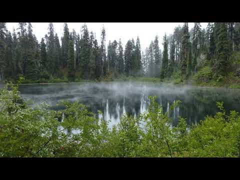 Kirby & Dylan VS Vermontide 2 - Part 2