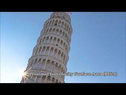 Proximal Isovelocity Surface Area (PISA)