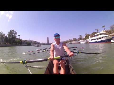 8+ juvenil masculino labradores