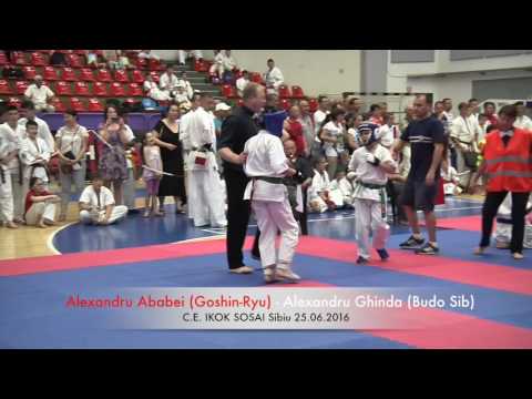 Alexandru Ababei (Goshin Ryu) -  Alexandru Ghinda (Budo Sib)