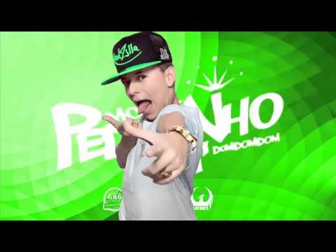MC Pedrinho Vai sentando na piroca DJ R7 Oficial 2015