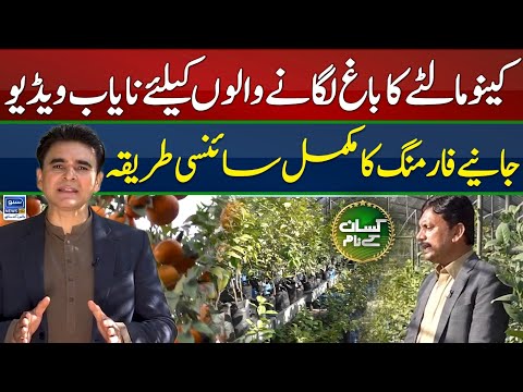Sowing technology of citrus | How to start citrus orchard in Pakistan | Kissan Kay Naam | EP 48