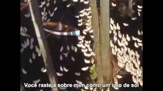 Lifehouse - Wash (Legendado)