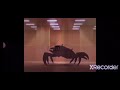 backrooms crab rave (found fotage) disco version 1h