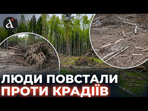 На Житомирщине продолжаются незаконные вырубки леса с ущербом на десятки миллионов гривен
